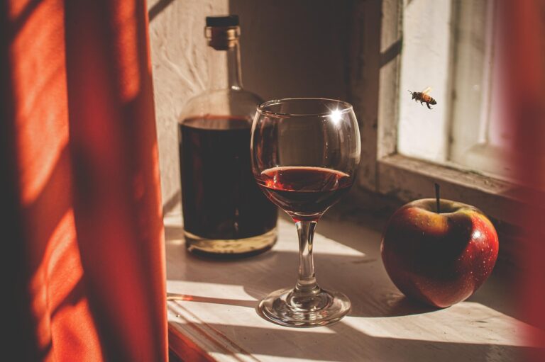 coffret decouverte du vin